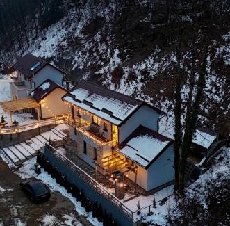 Valiug Villa | Twin Villa