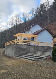 Valiug House | Twin Villa1