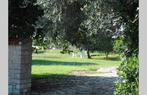 Kaluđerac Apartment | Two bedroom ap in the garden