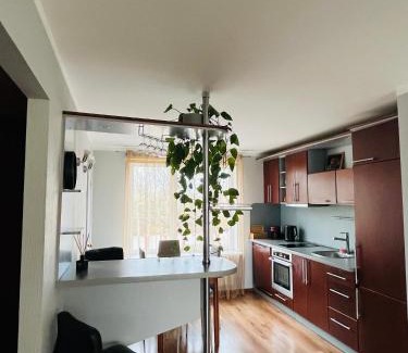 Carnikava Apartment | Two-bedroom Apartment