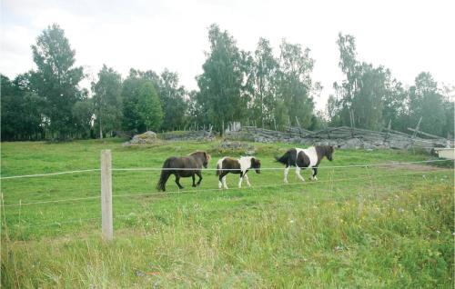 Mullsjo House | Two-Bedroom Holiday Home In Mullsjo