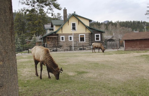 Jasper House | Two Bedroom, Two Bathrooms, Full Kitchen, Private Laundry, Living Room Apartment