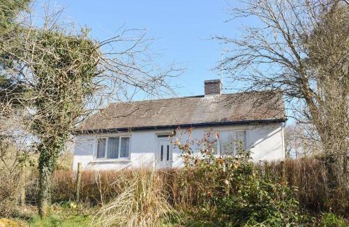 Bontnewydd House | Tynlon Villa