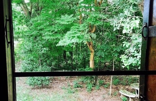 Yang Talat House | Typical Homestay Among Nature !