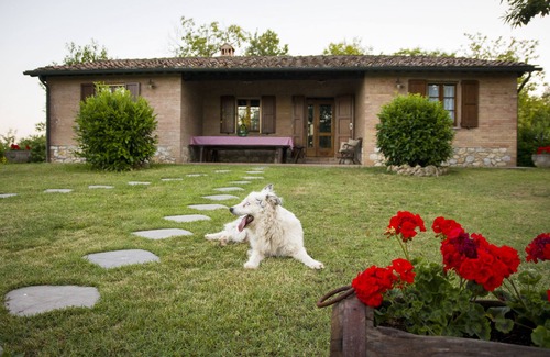 Monticiano Cottage | Typical Tuscan Cottage with swimming pool and park, five minutes from San Galgano