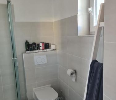 Velke Losiny Apartment | U-Aldy