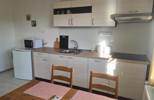 Velke Losiny Apartment | U-Aldy