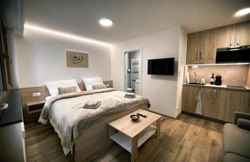 Dolni Morava Apartment | U Králíka, přízemní bezbarierové apartmány A,B,C,D - 50 metrů od vleku - přejdete v lyžácích, pod bobovou dráhou, parkování zdarma, lyžárna s vysoušeči bot,