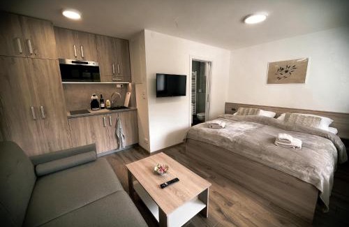 Dolni Morava Apartment | U Králíka, přízemní bezbarierové apartmány A,B,C,D - 50 metrů od vleku - přejdete v lyžácích, pod bobovou dráhou, parkování zdarma, lyžárna s vysoušeči bot,