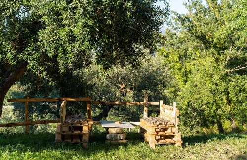 Ogliastro Cilento Apartment | U Saccataro Casa Vacanze