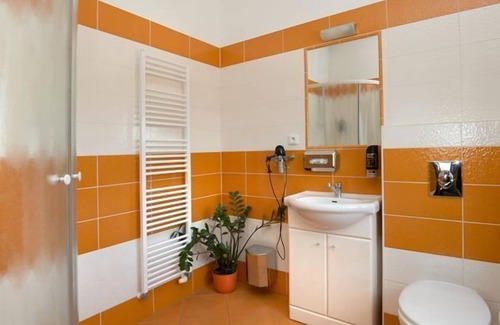 Pisek Hotel | U Zlateho byka