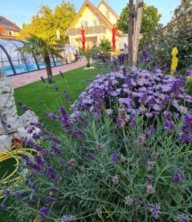Vonyarcvashegy Apartment | U8 apartmanház