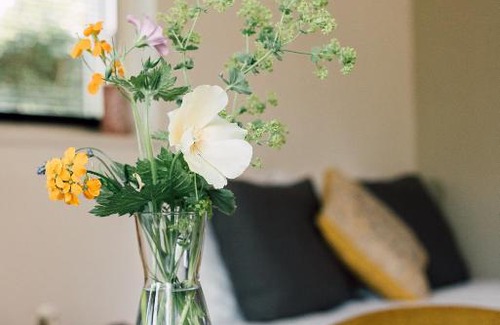 Municipality of Doesburg Bed & Breakfast | Ubi-iter? History, heritage and hospitality
