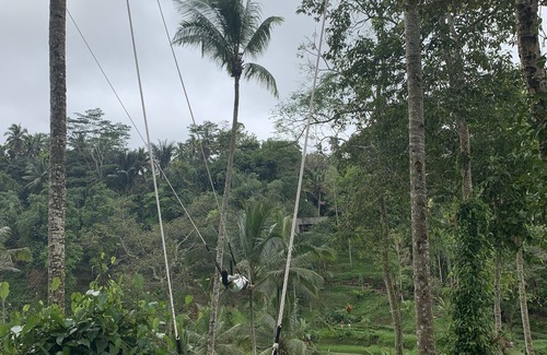 Bangli House | ubud tour and waterfall