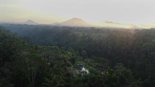 Melayang Resort | Ubud Valley Boutique Resort