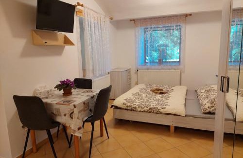 Hamry Apartment | Ubytování Hamry