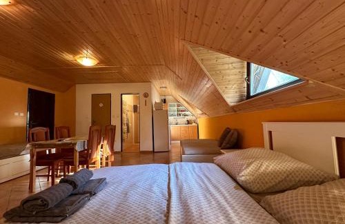 Brezi Apartment | Ubytování nad sklípkem