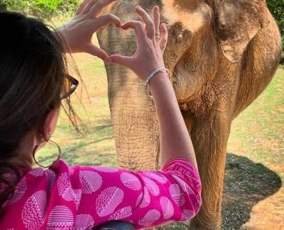 Udawalawa Bed & Breakfast | Udawalawe Elephant safari Lodge