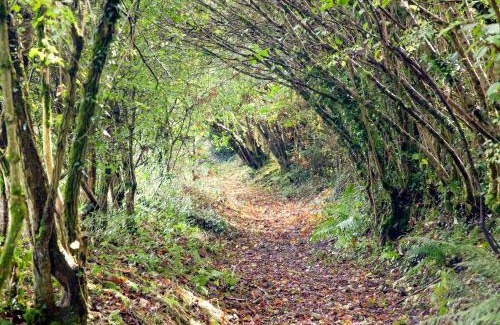 Sticklepath House | Uk45541-Old Stable Cottage
