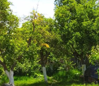 Issyk-Kul Region House | Ular guest house