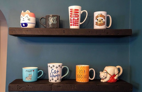 Northeast Minneapolis House | Ultimate Pet Friendly Stay - Paws & Relax Retreat