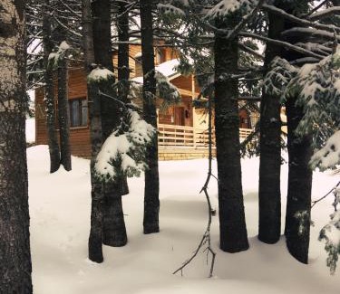 Osmangazi Cabin | Uludag Orman Koskleri