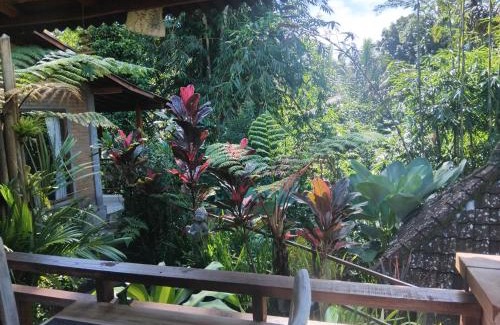 Tegallalang House | Umah mimpi