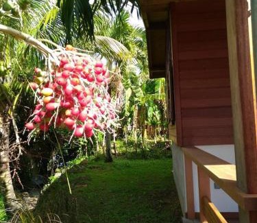 Saint-Charles House | Un cosy sous le vent