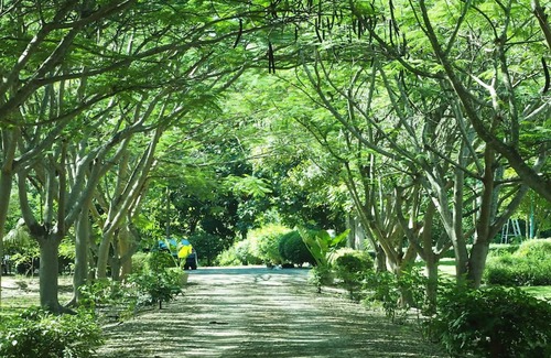 Phaya Yen Villa | Uncle Jo Ranch