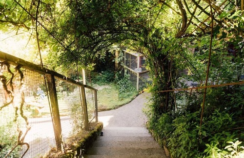 Doue-la-Fontaine Apartment | Unforgettable Night in a Troglodyte Cave Home