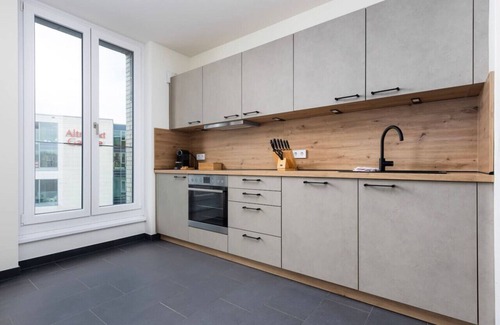 Innere Vorstadt Apartment | UNiQE Apartments 3R 104m2 | city center+free parking