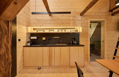 Solcava Apartment | Unique Apartment Lynx, 5 Min. to Logar valley