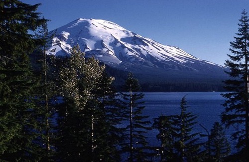 Silver Lake Cabin | Unique Cabin in the Woods Near Mount St. Helens
