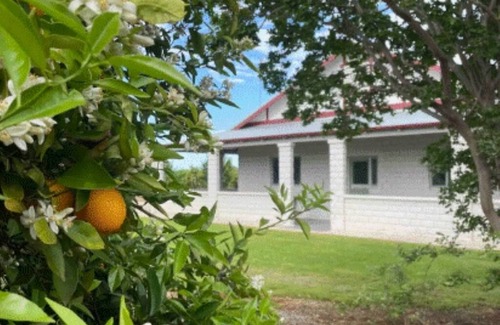 Leeton Cottage | Unique Cottage in orchard setting - quiet, peaceful setting close to town