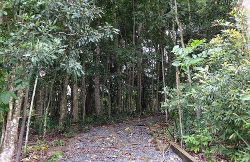 Binna Burra Apartment | Unique Guest Suite retreat nestled in acres of rainforest