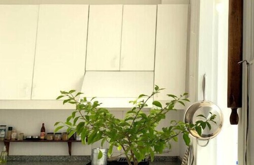 San Telmo Condo | Unique penthouse! Plaza Dorrego San Telmo