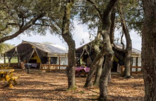 River Ranch Resort | Unique,River Ranch Fl 2 Cabins Nov1-7 & 1 15-22. Enjoy Exhilarating Activities!
