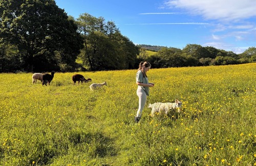 Usk House | Unique stay in your very own army truck. Sleeps 4. Hot tub. Tranquil setting.