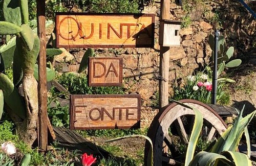 Figueiro dos Vinhos Other | Unique Tiny House with Natural Building Techniques