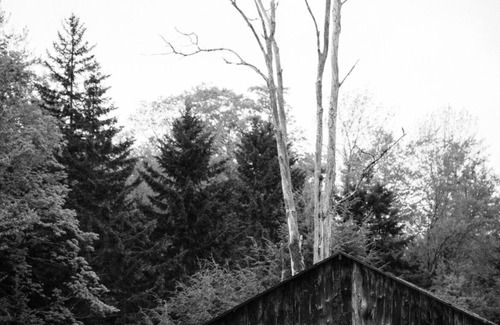Haines Falls House | Unique wedding venue perched in the mountains with streams and an apple orchard