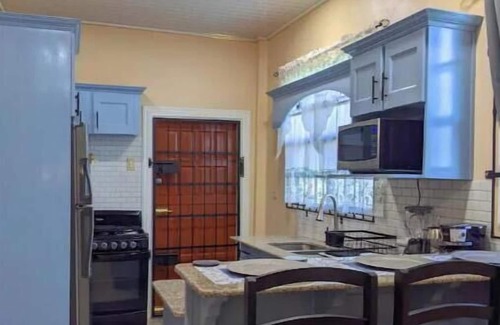 Georgetown Apartment | Unit 2 - Downstairs Back