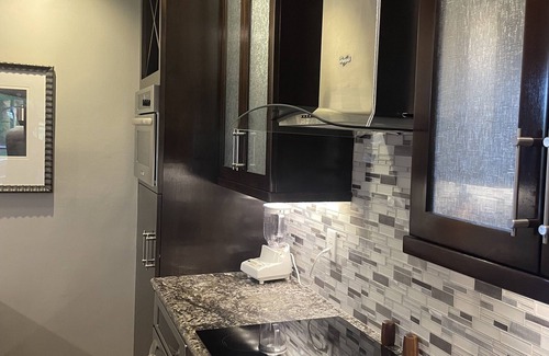 Charlotte Center City Condo | Upscale luxury contemporary uptown condo with park views, deck