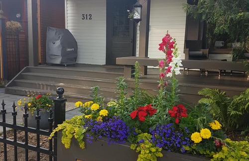 Sunnyside House | Urban Cottage Oasis 2