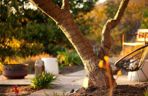 Blackmans Bay House | Urban farm stay with water views