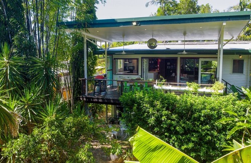 Edge Hill House | Urban Jungle Townhouse