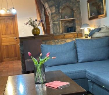 Florina Villa | Urban River House