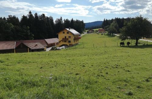 Sonnhofen House | Urlaub am Bauernhof Familie Kitting