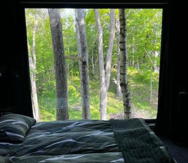 Habo Cabin | Vättervy Glamping- Ravinstuga