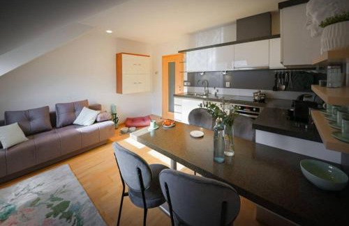 Olomouc Apartment | V CENTRU dění