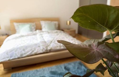 Olomouc Apartment | V CENTRU dění